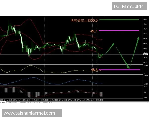 快船与勇士激战在即新浪直播1415精彩对决全程回顾与分析