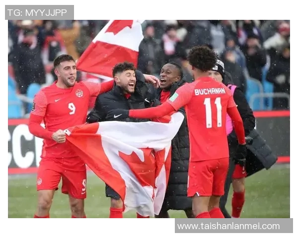 海地与加拿大足球赛首发阵容详细解析与战术对比分析