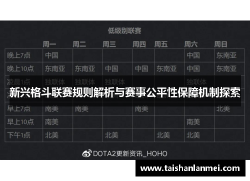 新兴格斗联赛规则解析与赛事公平性保障机制探索